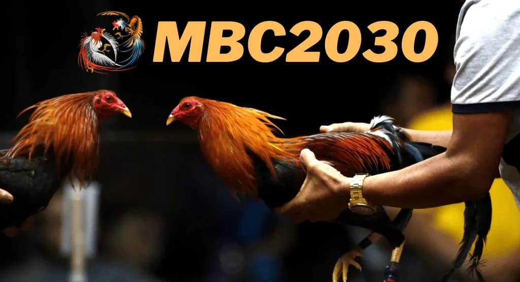 mbc2030 live